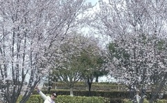 FREEXX俄罗斯美女HD